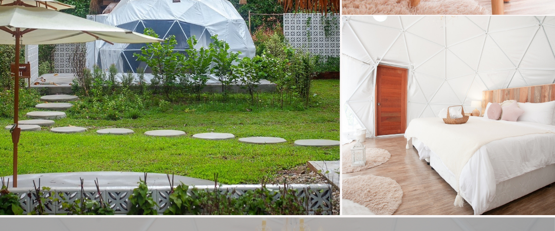 Dome Garden View